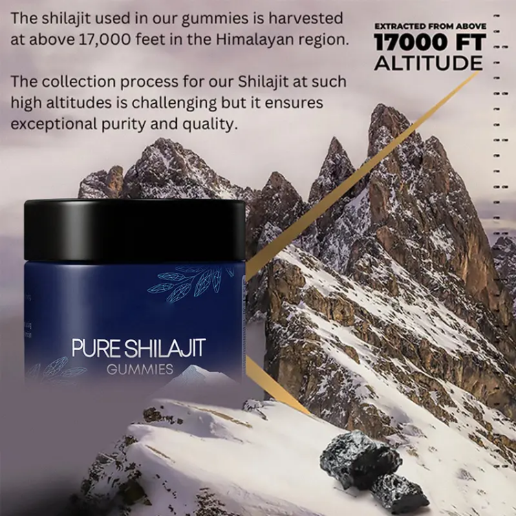 OEM Private Label Herbal Extract Dietary Supplement Wholesale Healthcare Pure Himalayan Shilajit Gummies