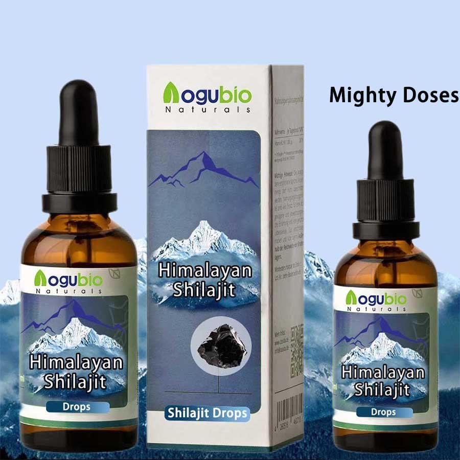 OEM High Quality Healthcare Shilajit Liquid Drops Nature Himalayan Shilajit Extract Health Supplements