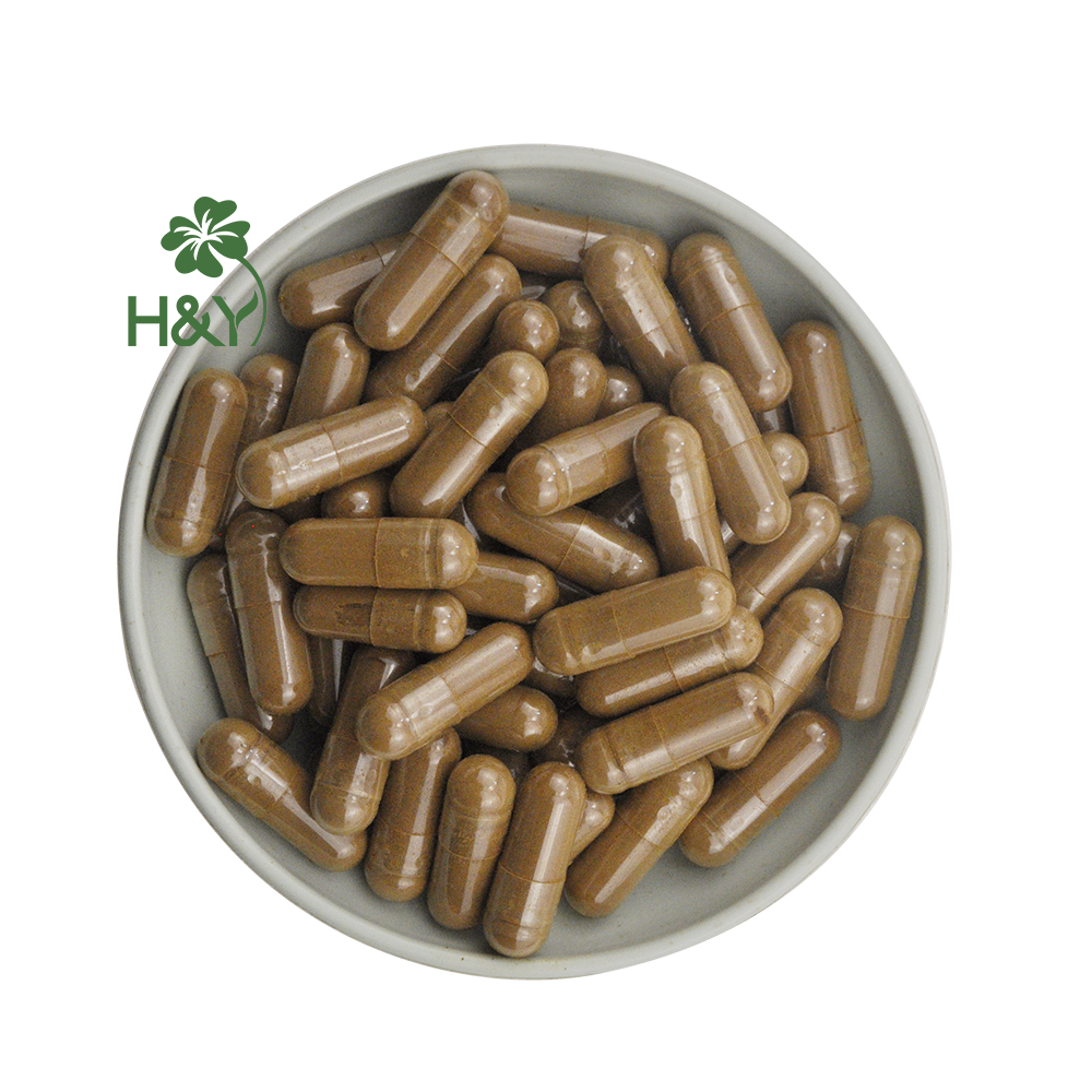 Hot Selling Price Pure Himalayan Shilajit Extract Shilajit Extract Powder