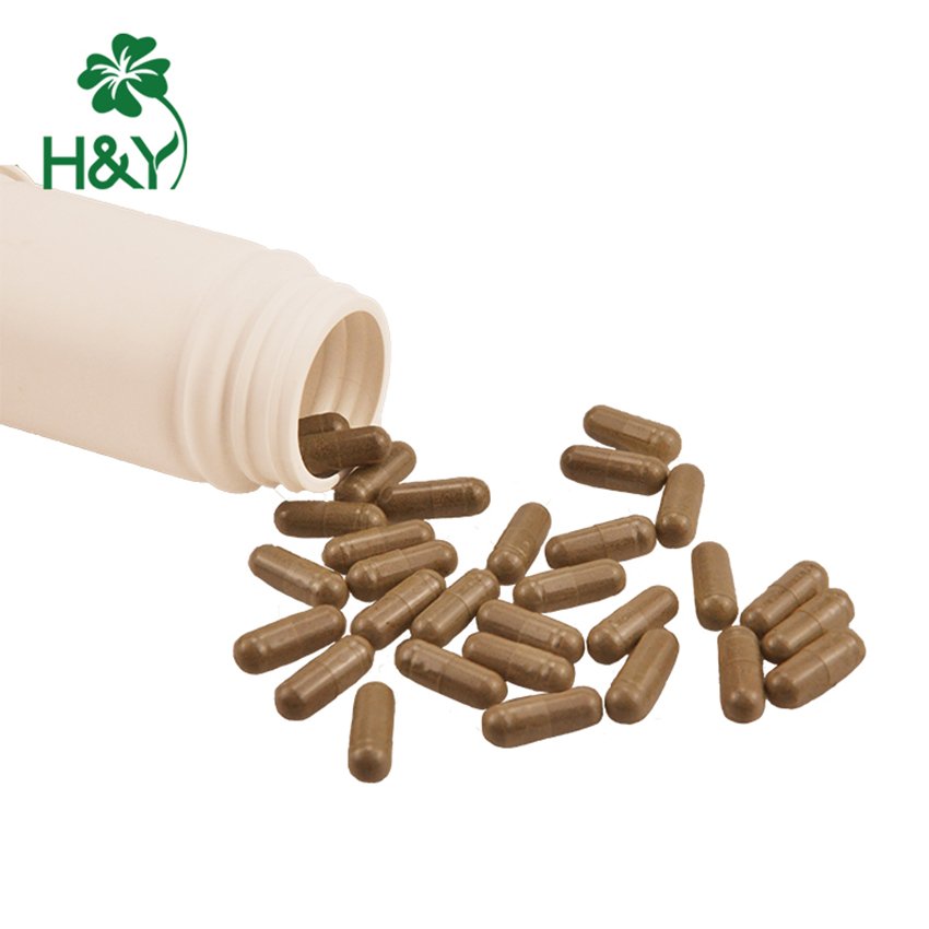 Hot Selling Price Pure Himalayan Shilajit Extract Shilajit Extract Powder