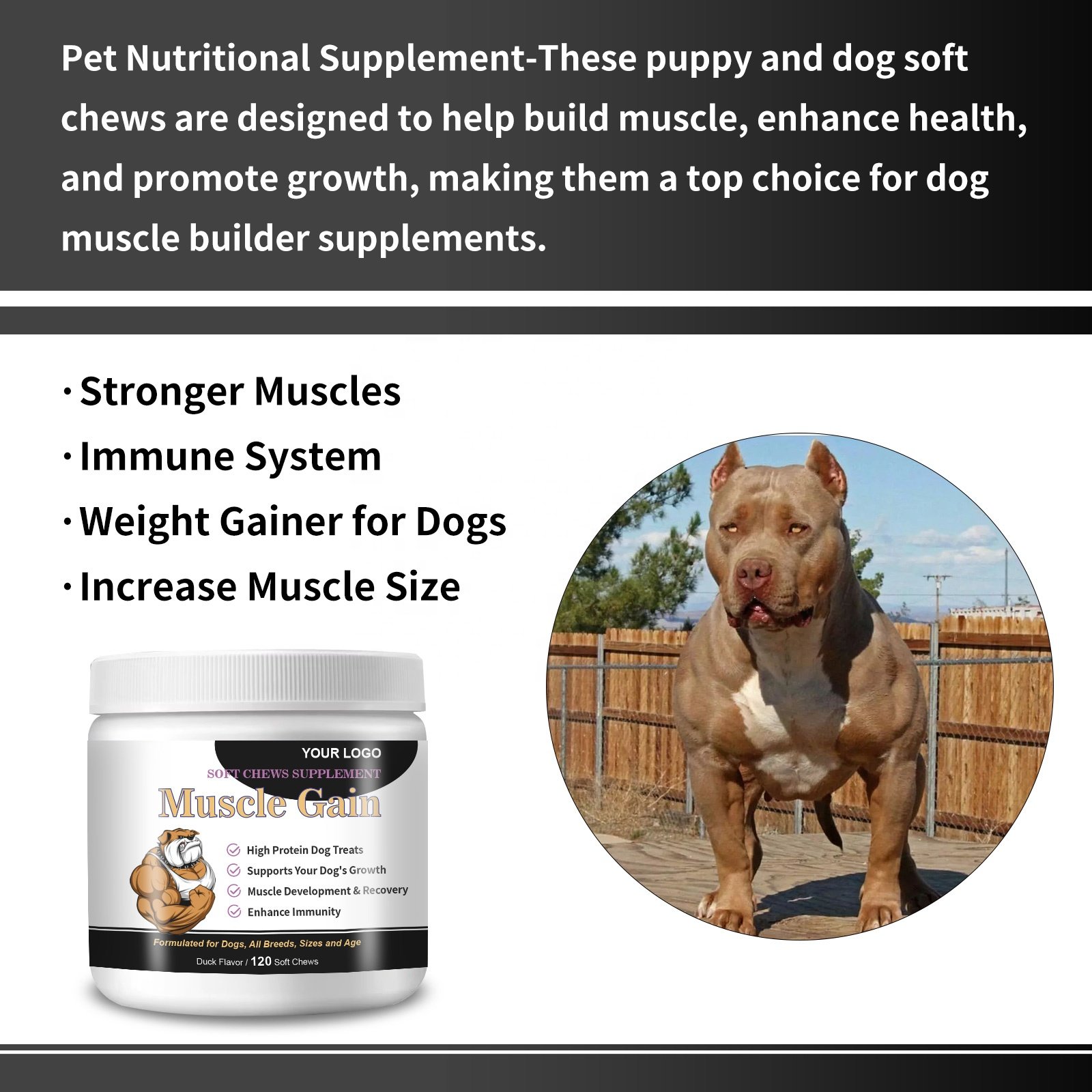 Pet Supplement High Protein Muscles Builder For Dog Weight Gain Soft Chews Immune System Strengthen