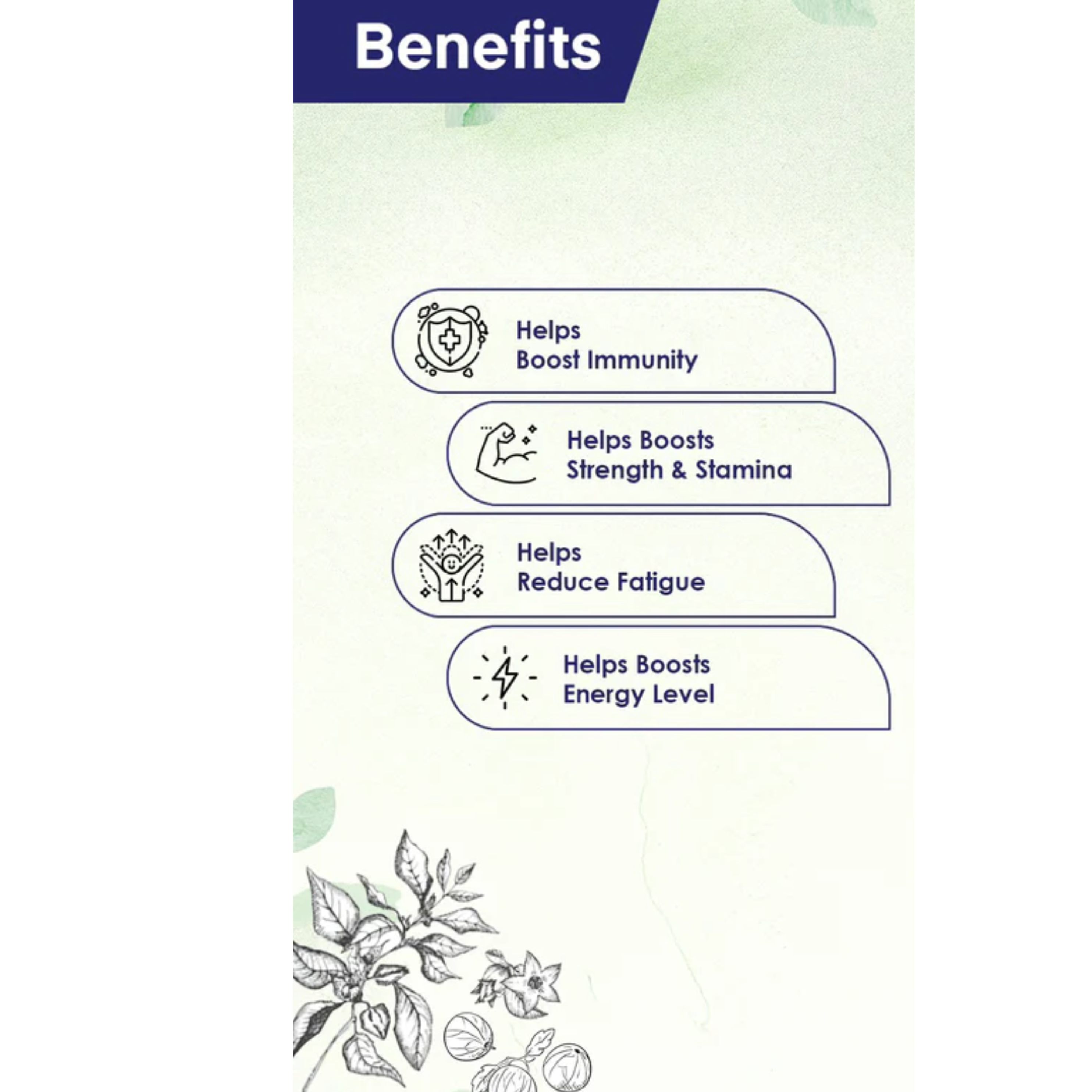 Pure Shilajit Capsules 800 Mg Natural Energy Booster Vitality Enhancer 60 Capsules Pack Of 1 Healthcare Supplement Best Price