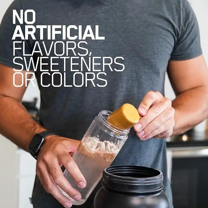 Healthcare Supplement Whey Protein Mass Gainer Creatine BCAA Fast Muscle Support Gym Pre-Workout Powder