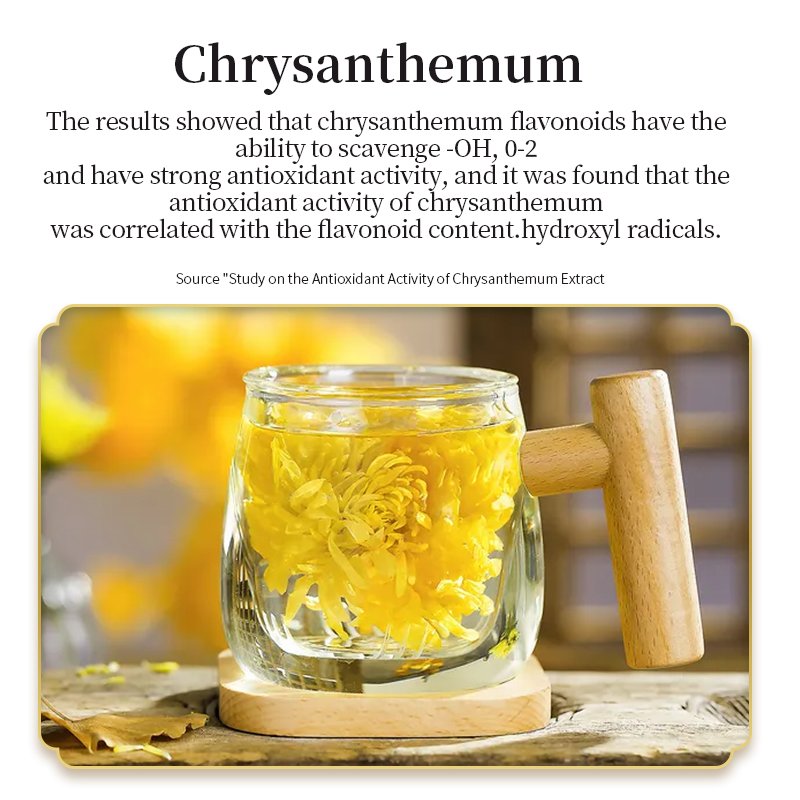 Healthcare supplements customized logo Oyster peptide lotus leaf pressed candy