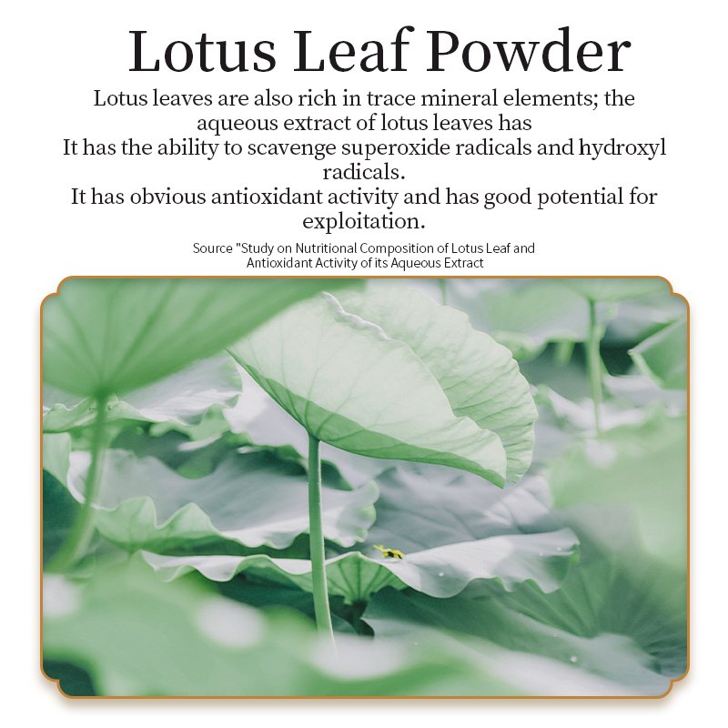 Healthcare supplements customized logo Oyster peptide lotus leaf pressed candy
