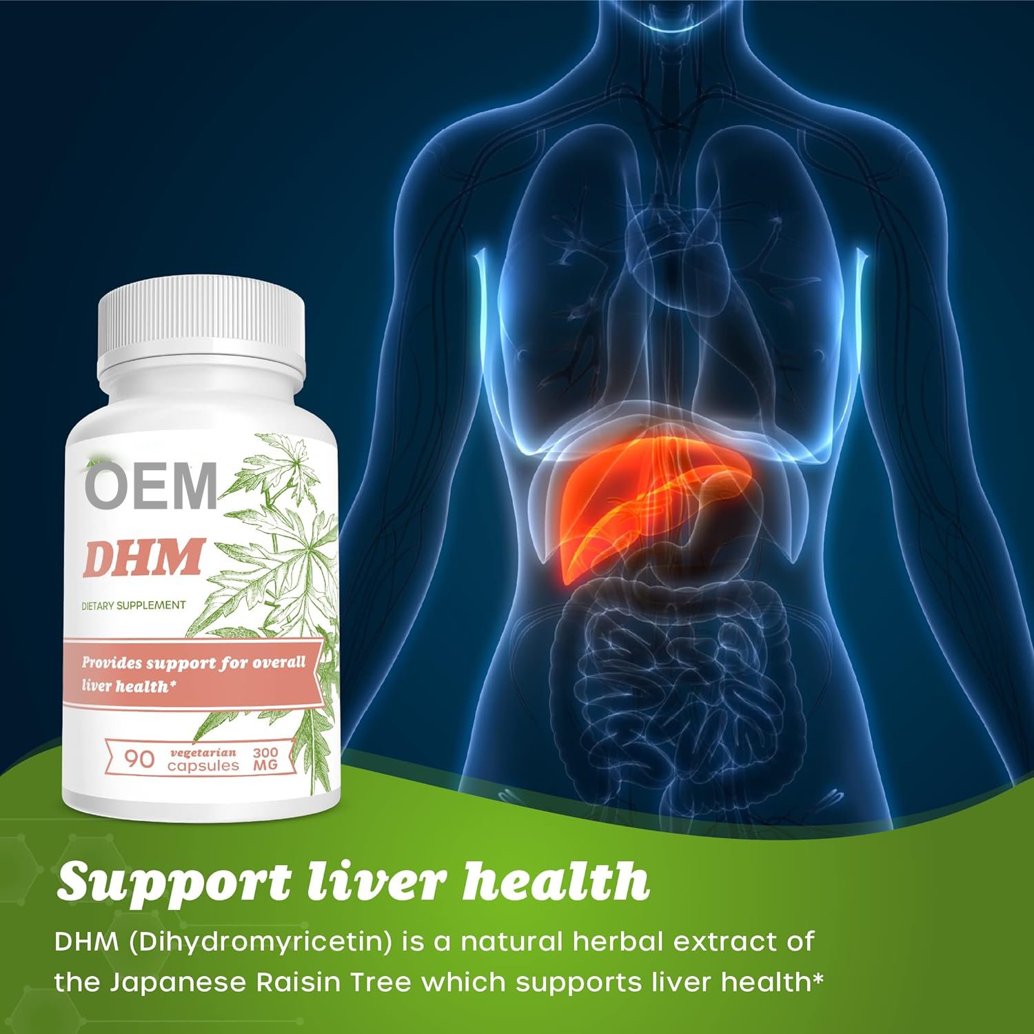 OEM Private Label Health Herbal Supplement Dihydromyricetin Capsules DHM Capsules