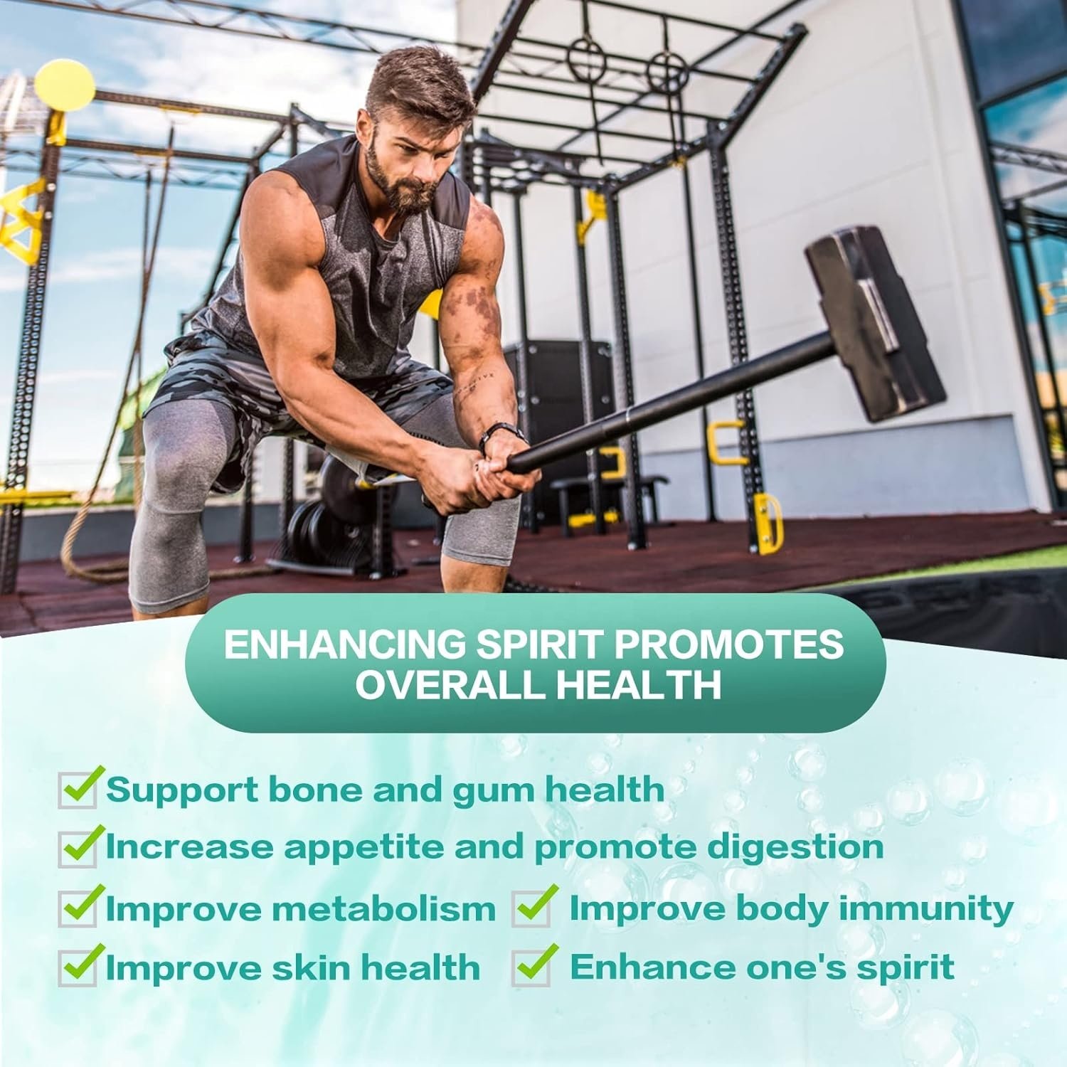 Healthcare supplement probiotic tablets improve skin health and men's body management probiotics and prebiotics
