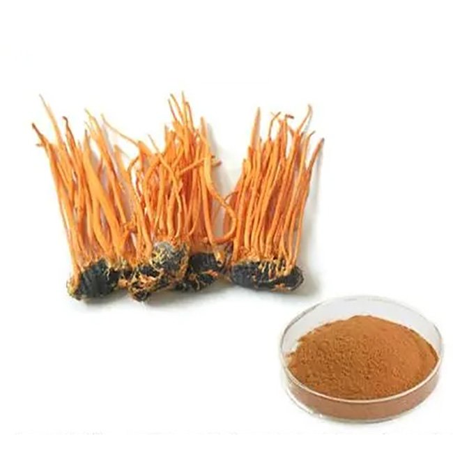 High Quality Healthcare Supplement Organic Cordyceps Sinensis Extract Cordycepin Powder 0.3-1%