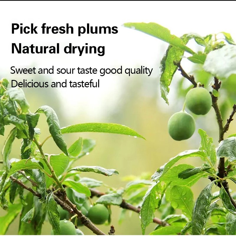 Healthcare supplement Enzyme plum support resist stress and immunity Promote collagen synthesis enzyme plum