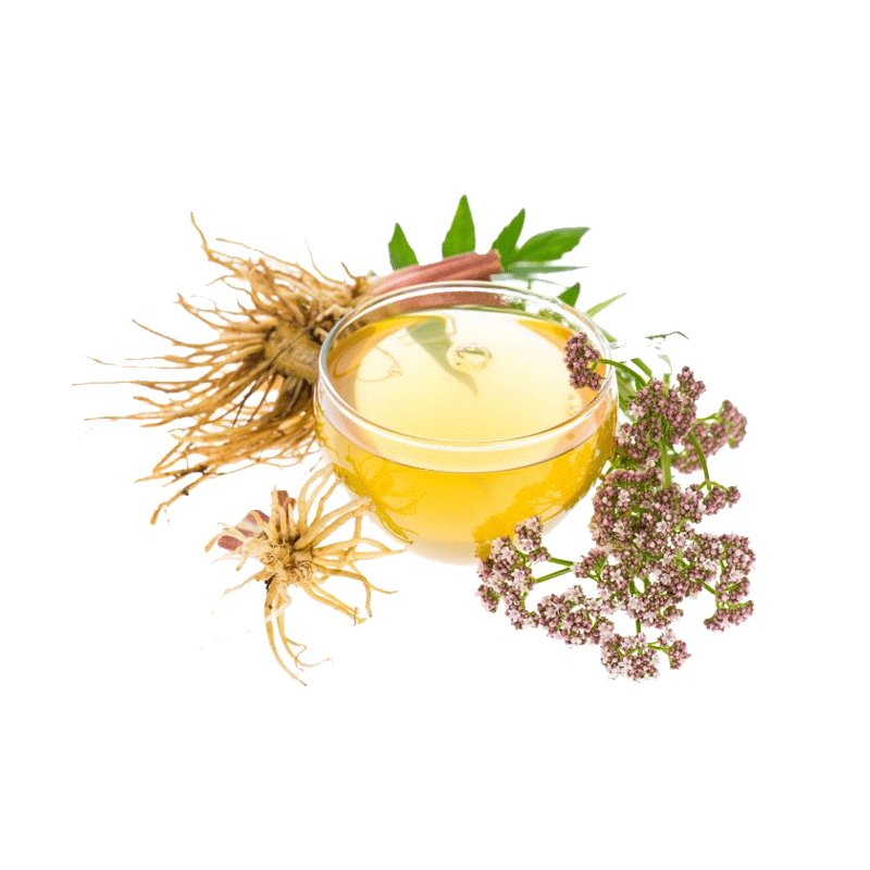 Factory Supplier Valeriana Officinalis Extract Valerian Extract Powder for Dietary Supplement