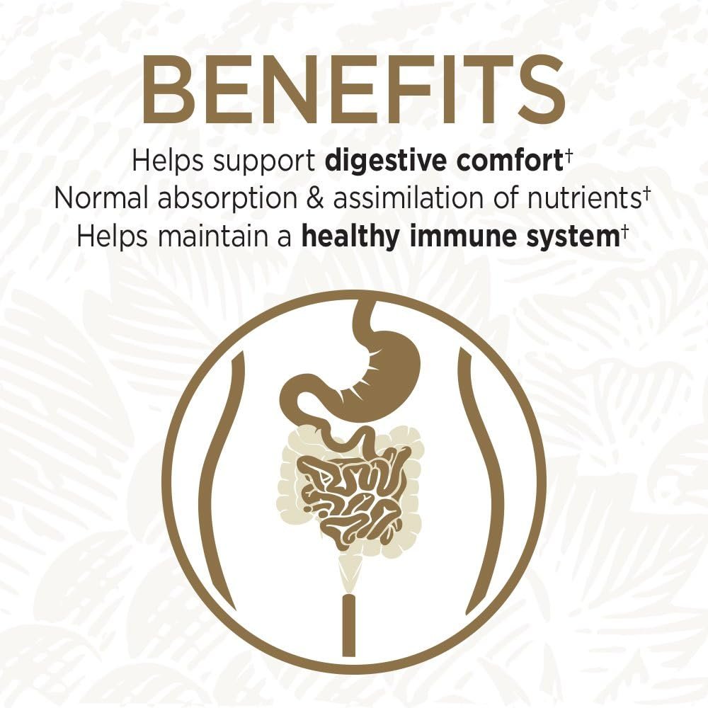 OEM Healthcare Plus Shilajit Herbal Capsule for Men's Health Private Label Vitamins Not for Pregnant Women or Newborns