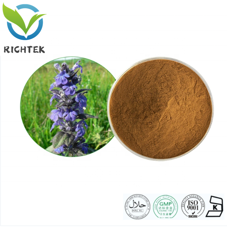 Wholesale Natural Supplements 2% 10% Ajuga Turkestanica Extract 100% Pure Turkesterone Powder for Increases Muscle