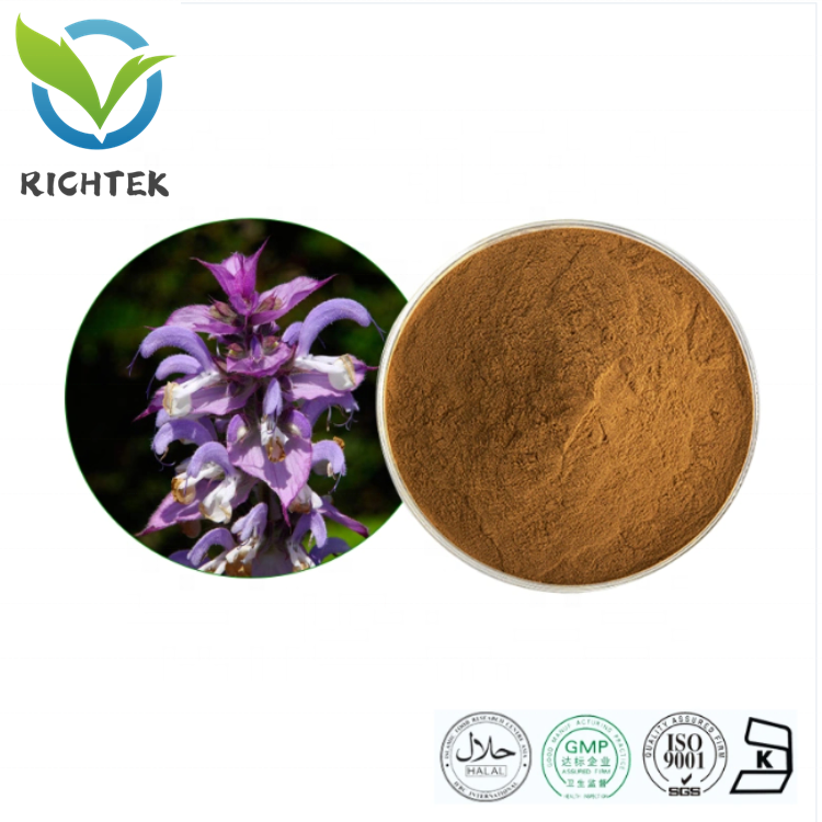 Wholesale Natural Supplements 2% 10% Ajuga Turkestanica Extract 100% Pure Turkesterone Powder for Increases Muscle