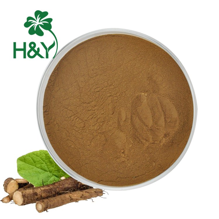 H&Y factory sells burdock root extract directly and can be customized into capsules