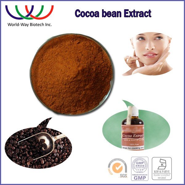 Free Sample China Manufacturer 20% theobromine Cocoa Seed Powder Theobroma Cacao Powder