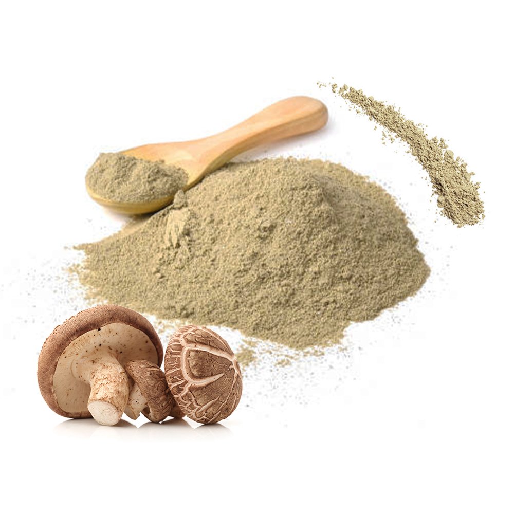 Organic Shiitake mushroom extracts powder wholesale bulk health care supplement