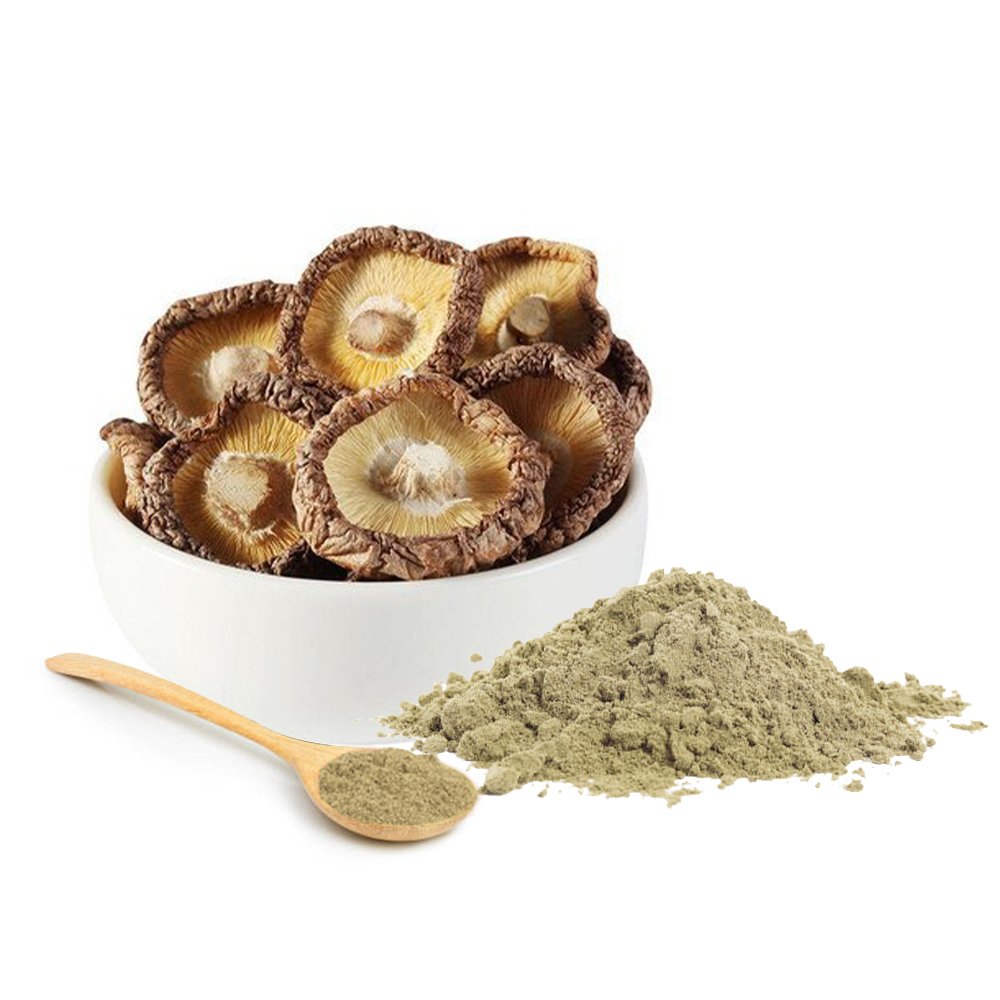 Organic Shiitake mushroom extracts powder wholesale bulk health care supplement