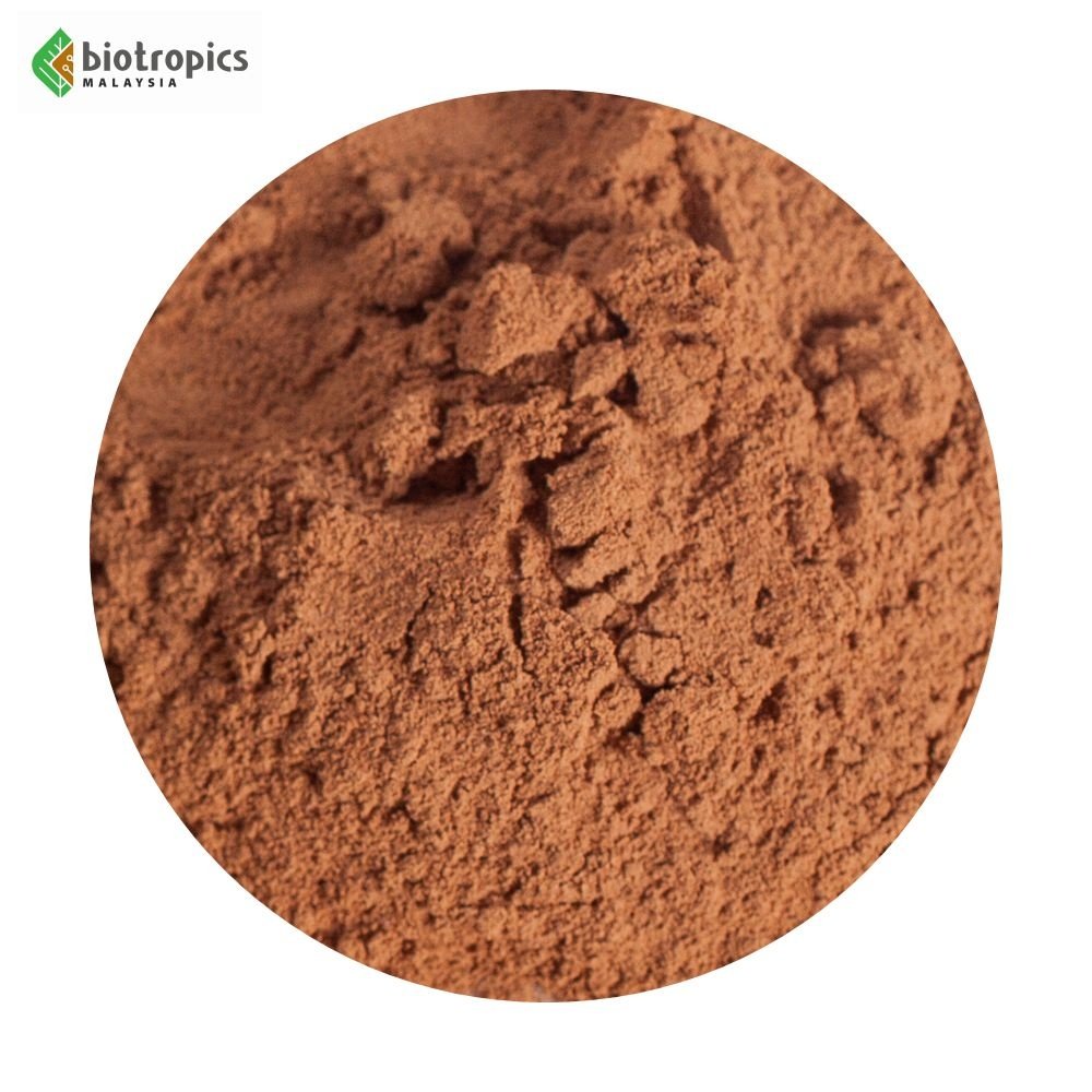 Premium Quality Malaysia Kacip Fatimah (Labisia Pumila) Herbal Extract Ingredient SLP+ In Powder Form for Women Health Supplemen