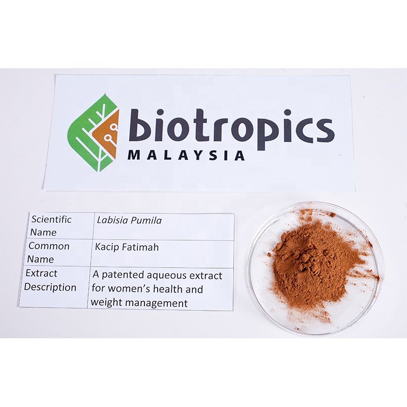 Premium Quality Malaysia Kacip Fatimah (Labisia Pumila) Herbal Extract Ingredient SLP+ In Powder Form for Women Health Supplemen