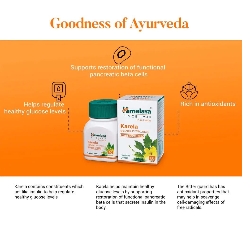 Healthcare Supplements Himalaya Karela Tablet for Good Health Available for Export from India Manufacture for Export