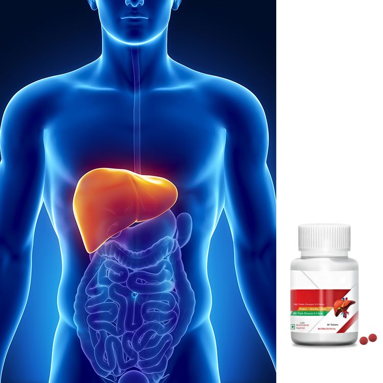 GMP Private Label Support Liver Healthcare 30 Tablets Natural Milk Thistle And Herb Tablets Liver Detox Cleanse Tablets
