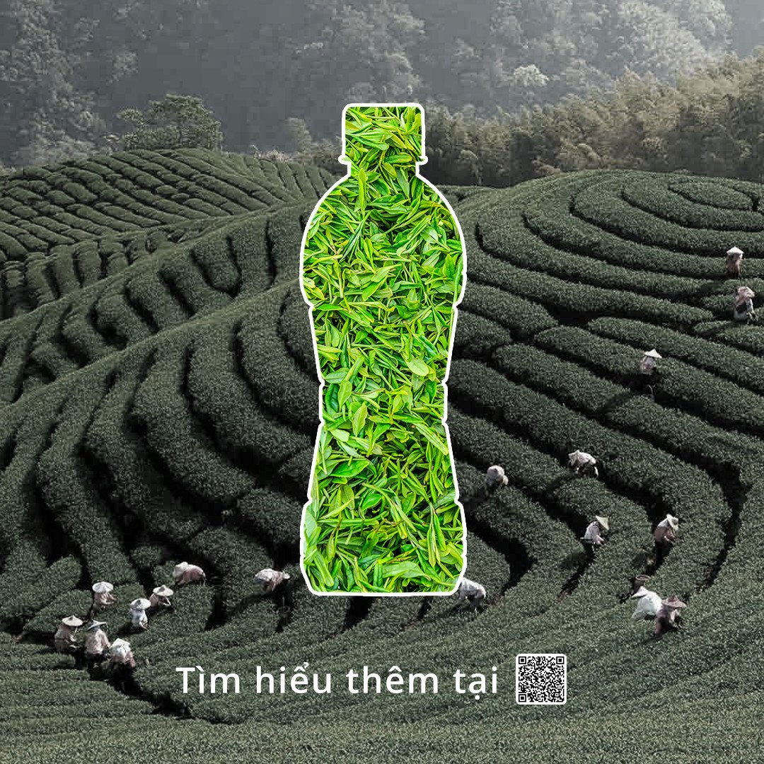 HIGH QUALITY ABEST GREEN TEA DRINK BEVERAGE MANUFACTURER PET BOTTLE GREEN TEA DRINK READY TO EXPORT