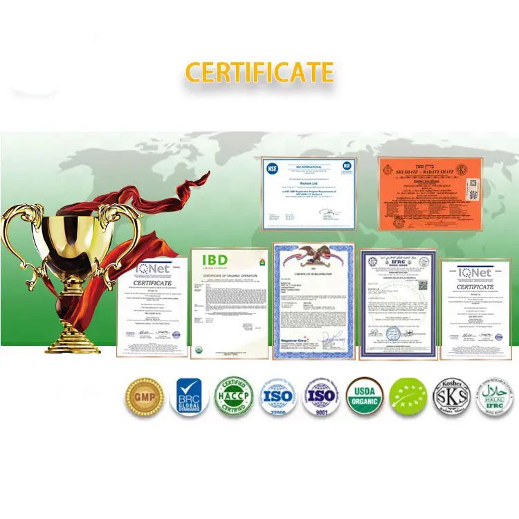 Popular Product OEM Best Prebiotic Supplements 60 100 Billion Compound Probiotic Capsule For Women's Health