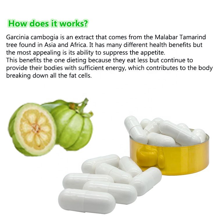 OEM/ODM Healthcare Supplement Garcinia Cambogia Capsules Slim Fat Burning Supplements Slimming Pills For Slimming Products