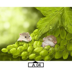 A04