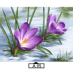 A05