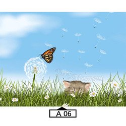 A06