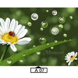 A07