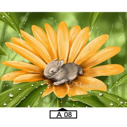A08