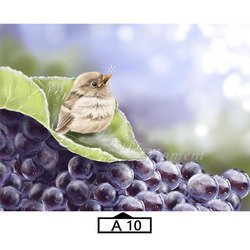 A10