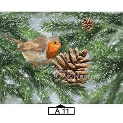 A11
