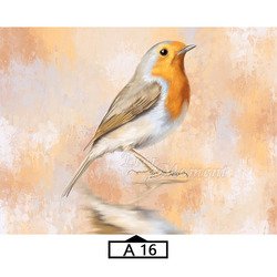 A16