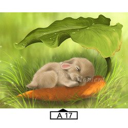 A17