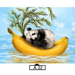 A22