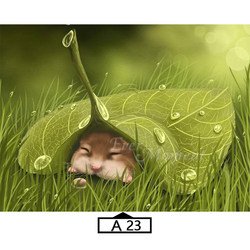 A23
