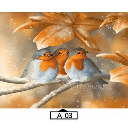 A03