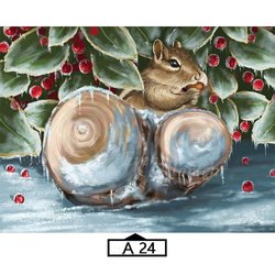 A24