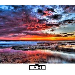 A01
