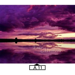 A11