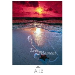 A12
