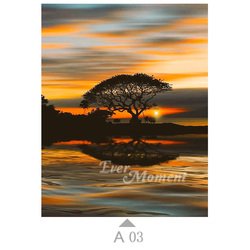A03
