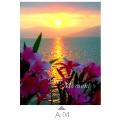 A04