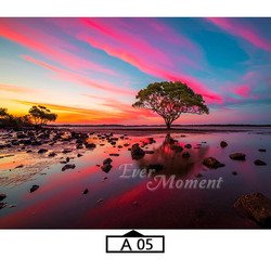 A05