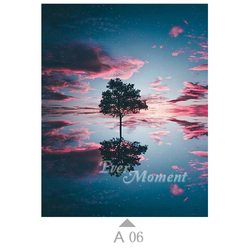 A06