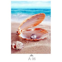 A06