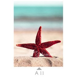 A11